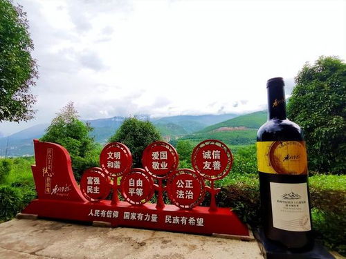 走进生态原产地保护产品香格里拉酒业 品味高原云端葡萄酒