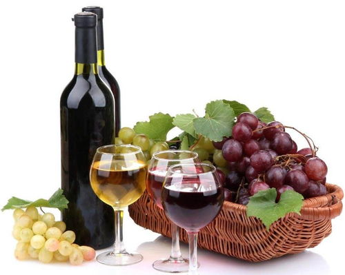 红酒品鉴四部曲 从准备到收藏的大学问