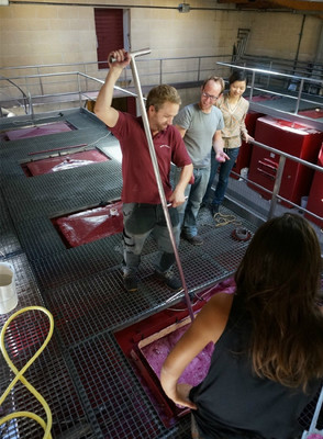 荐好物 | 粉红微醺之选 专为都市佳丽甄选的甜美葡萄酒